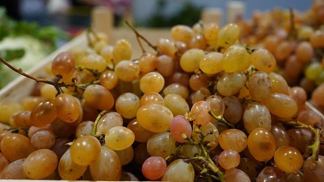 До 250 тысяч тонн винограда планируют собрать в 2025 году на Кубани 