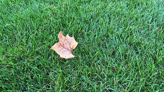 Фото: телеканал «Краснодар»