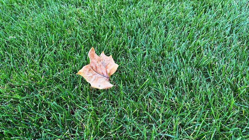 Синоптик Леус рассказал о влиянии антициклона на Кубань