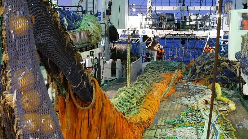 Улов камбалы в 2025 году снизился из-за холодной погоды в Сочи