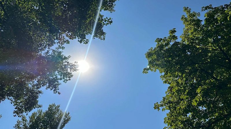 Новый температурный рекорд зафиксировали в Симферополе