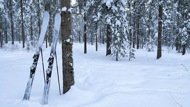 Изображение создано с помощью ИИ