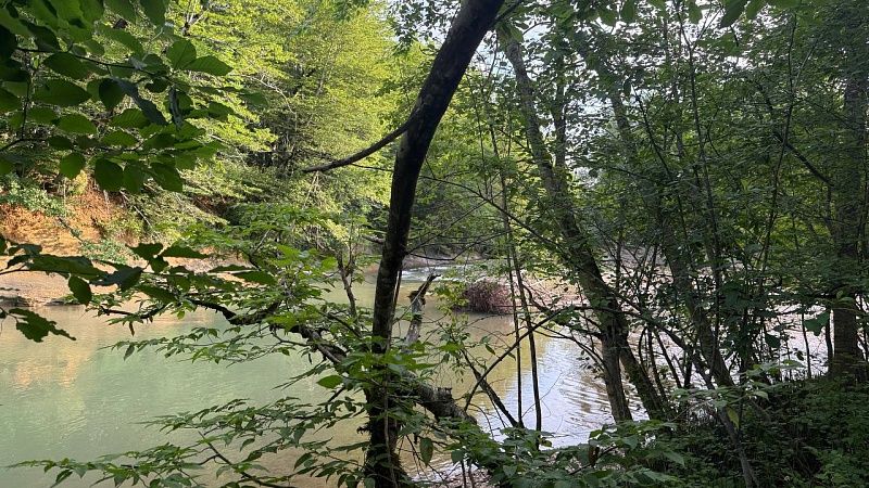 Рыбаки выловили редких горбылей на 300 тысяч рублей в Индии