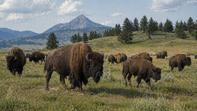 Изображение создано при помощи ИИ