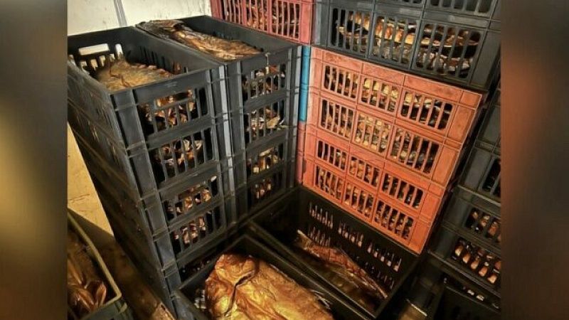 Более 50 тонн рыбы изъяли у предпринимателей на Кубани