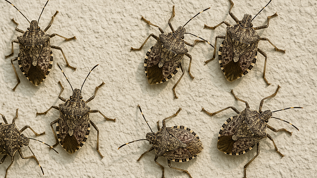 Изображение создано при помощи ИИ