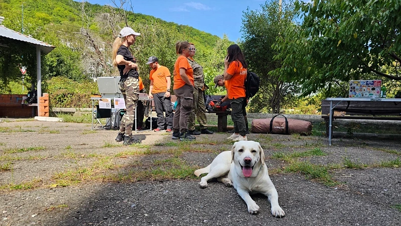 Неравнодушный краснодарец помог заблудившемуся дедушке добраться к семье