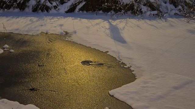 Фото: телеканал «Краснодар»