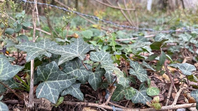 Фото: телеканал «Краснодар»