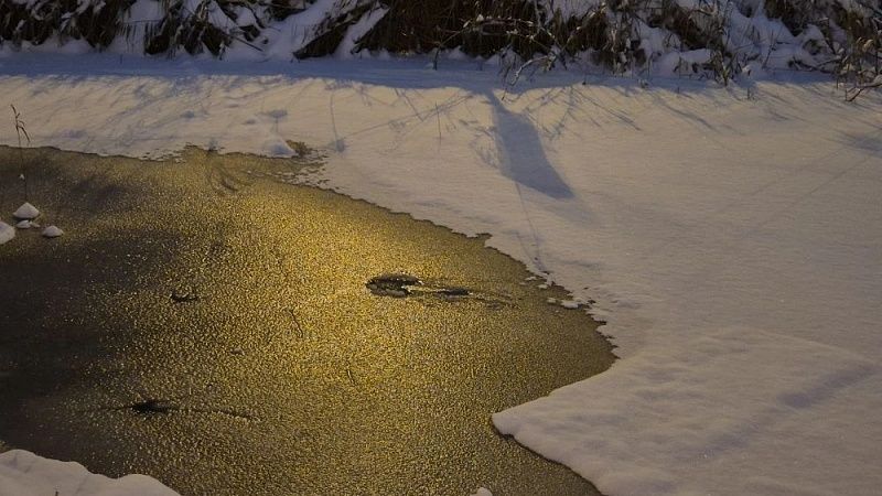 Подводные камеры задействовали для поиска провалившихся под лёд детей в Брянске