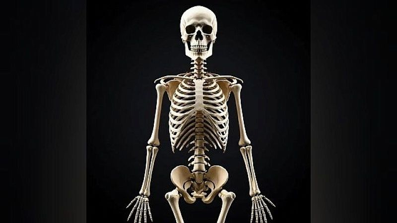 Ученые впервые провели всесторонний анализ генома древнеегипетского мужчины