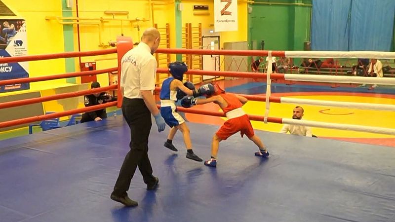 В Краснодаре провели первый боксерский турнир в поддержку солдат СВО