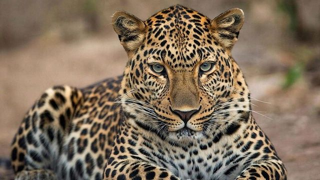 Изображение создано при помощи ИИ.