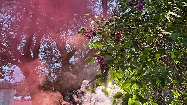 Фото: телеканал «Краснодар»