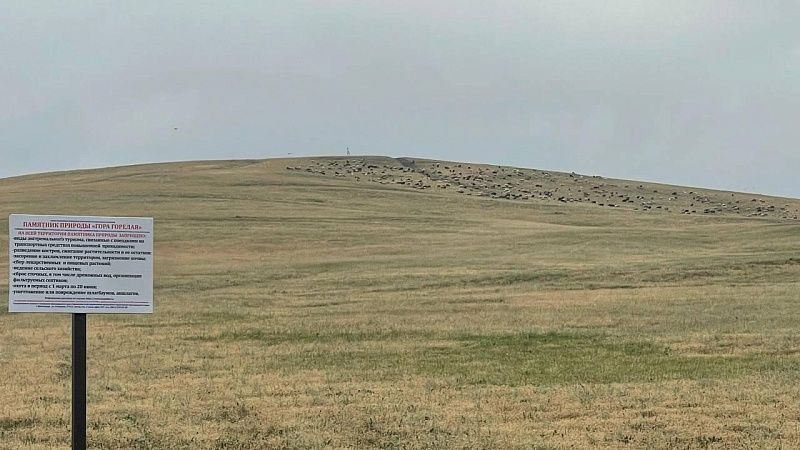 Суд усомнился в 55-миллионном ущербе, нанесенном коровами фермера Кубани