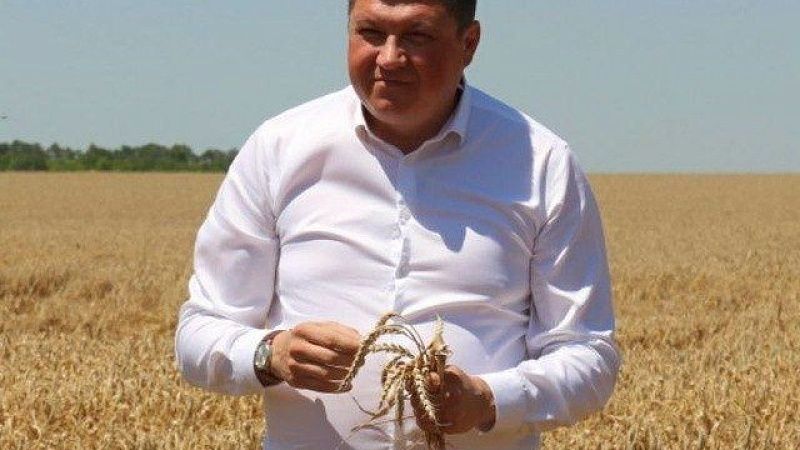 Власти пояснили, как выдали удостоверение ветерана СВО главе Тимашевского района