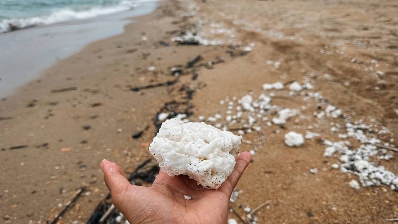 Похожие на пальмовое масло выбросы нашли на Бугазской косе в Краснодарском крае