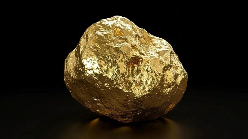 Мигранты незаконно добывали золото в Приамурье