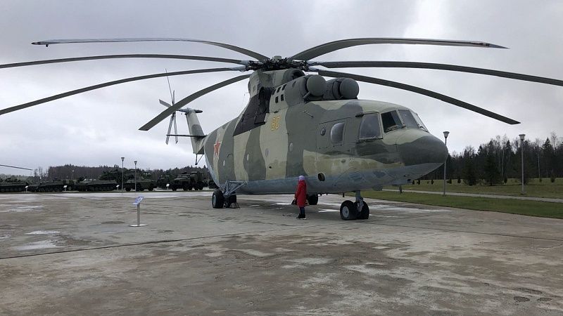 Испуганные шумом вертолета олени затоптали детенышей на Камчатке