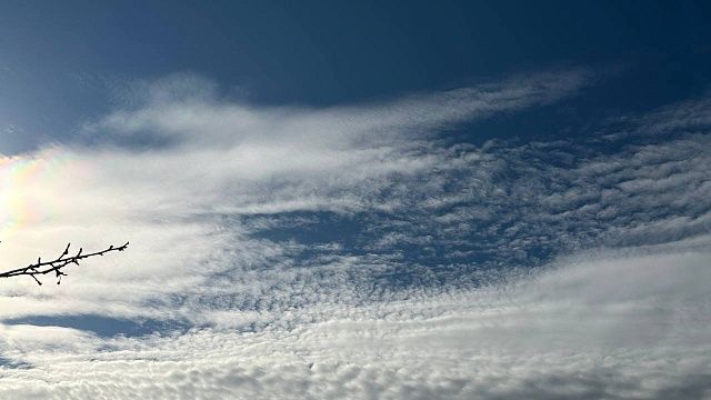 Фото: телеканал «Краснодар»