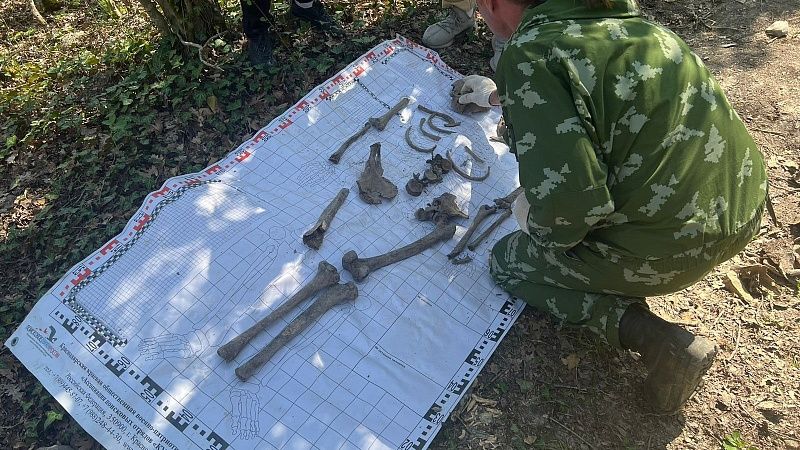 На Кубани поисковики нашли останки жертв фашистских захватчиков