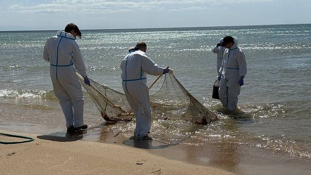 Волонтеры обнаружили приплывший из Турции в Анапу мусор