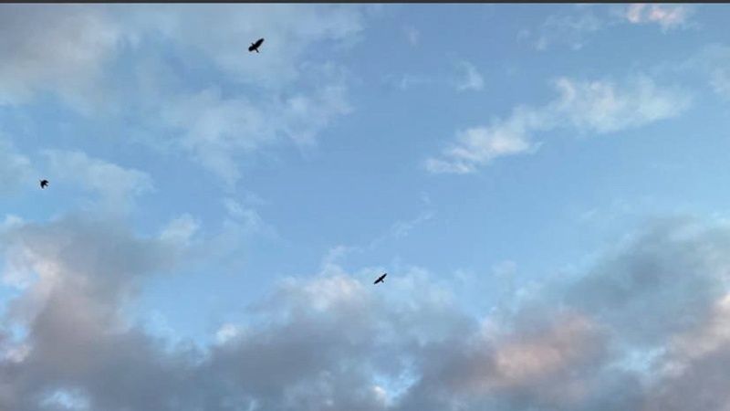 Местные жители сообщили о ночных взрывах в районах Миллерово