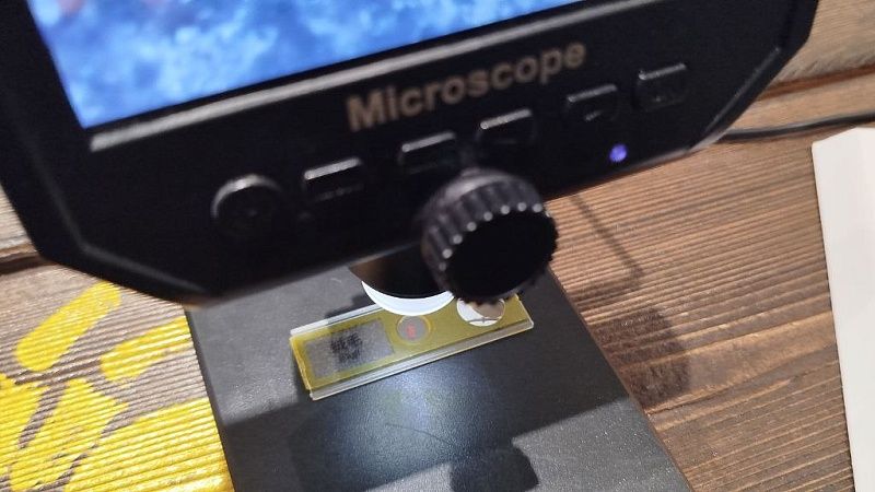 Лечебное влияние бергамота на печень выявили учёные из Греции 