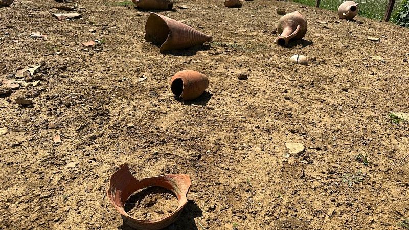 Археолог Бутягин призвал ученых быть осторожнее с поездками в Европу