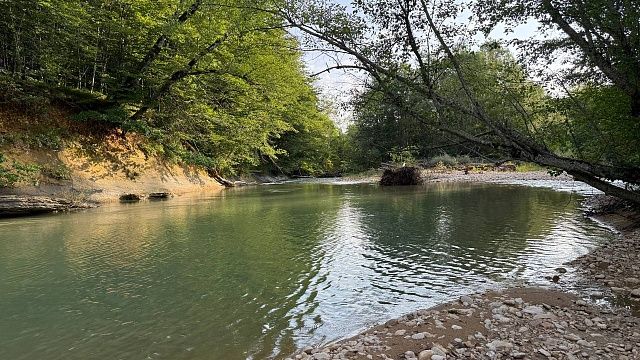 Фото: телеканал «Краснодар»
