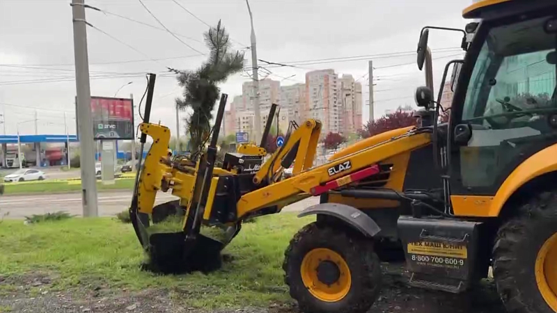 Более сотни деревьев и кустарников выкопают под Тургеневским мостом в Краснодаре