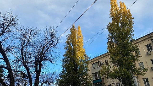 В первый день зимы воздух в Краснодаре прогреется до +17°