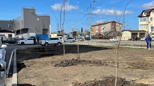 На улице Домбайской высадили будущую зелёную зону