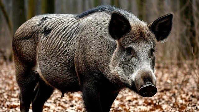 Изображение сгенерировано с помощью ИИ,