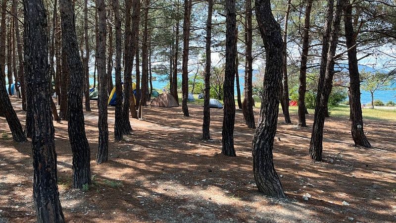 На 4% снизилась стоимость отдыха в глэмпингах и кемпингах на Кубани