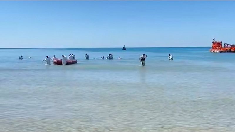 Водолазы МЧС собрали 157 мешков мазута у детского лагеря Анапы