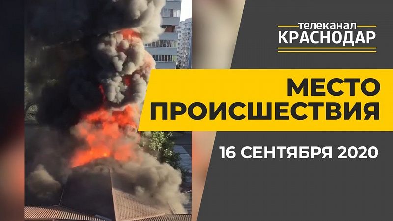 Драка в трамвае. ДТП. Краснодар. Выпуск от 16 сентября 2020