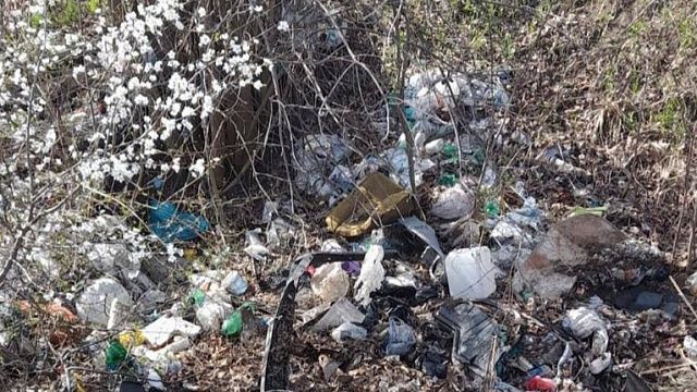Стихийную свалку убрали в станице Динской