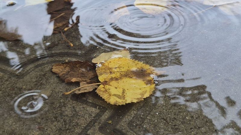 Небольшой дождь, порывистый ветер и до +20°С прогнозируют 23 октября на Кубани