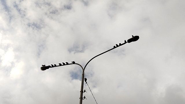 Фото: телеканал «Краснодар»