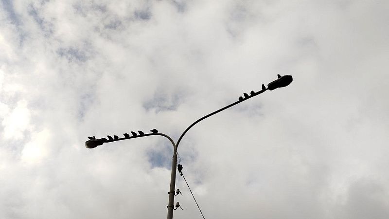 Уличное освещение для восстановления энергоснабжения отключили в Белгороде 