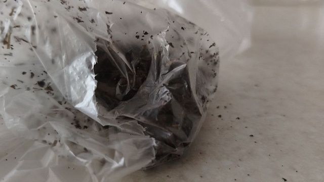 Фото: телеканал «Краснодар»