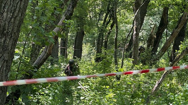 Сапёры нашли кассетные суббоеприпасы в Белгородской области 