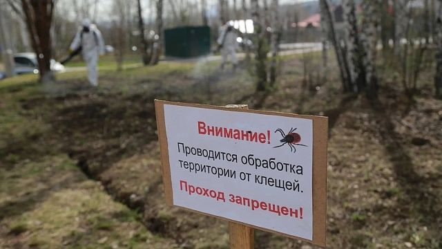 Фото: пресс-служба администрации Краснодара