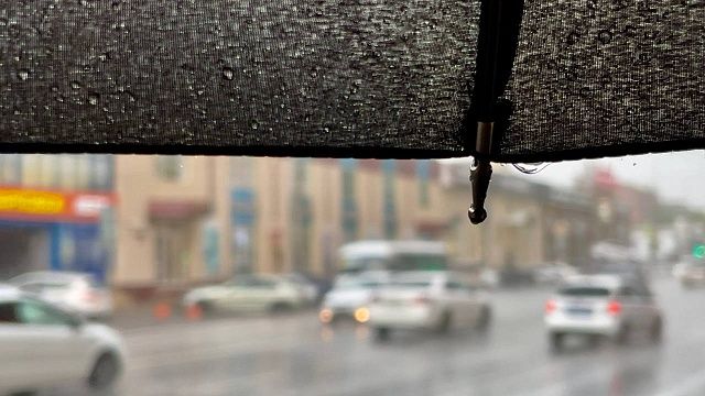 Фото: телеканал «Краснодар»