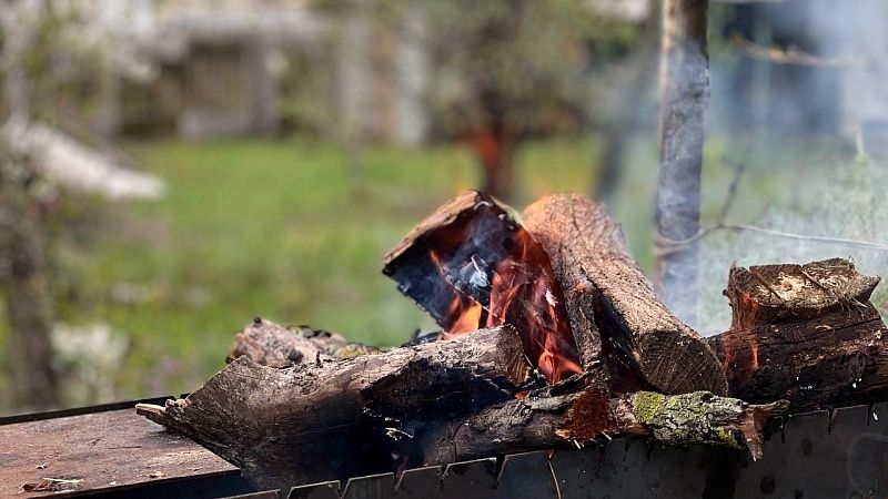 Краснодарцам напомнили о правилах пожарной безопасности на пикниках