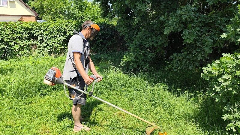 Около 17 тысяч гектаров сорняка выкосили в Краснодаре