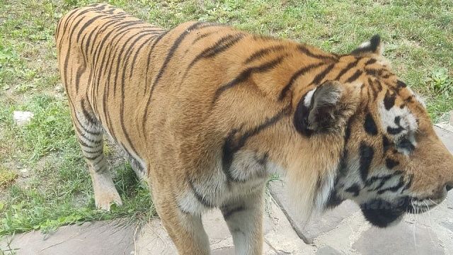 Фото: телеканал «Краснодар»