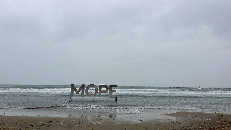 Ученая КубГУ заверила, что пляжи очистятся от мазута через 2-3 года в Анапе