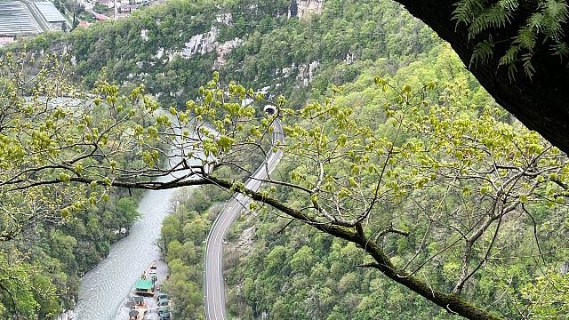 За охоту на перепелов осудят браконьеров в Сочи